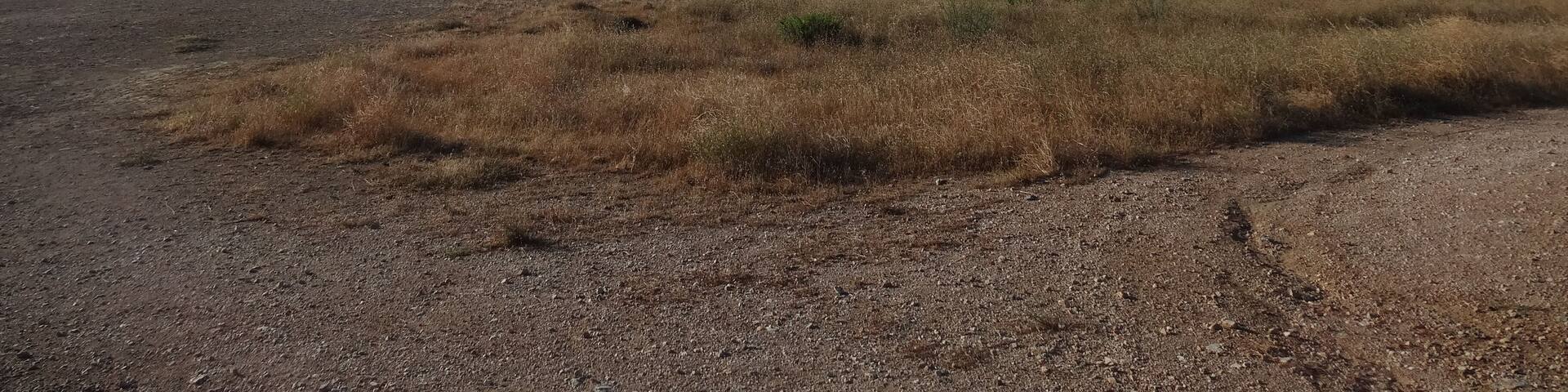 Estany de Salses (agost 2013)