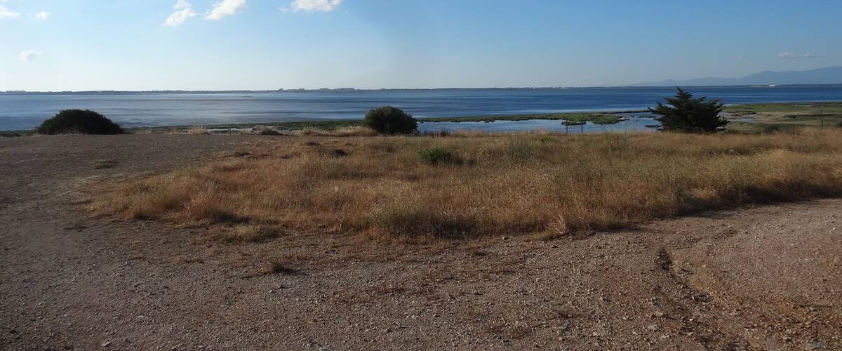 A coastal landscape with dry grass, a clear sky, and a distant view of the sea.