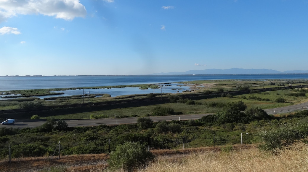 Estany de Salses (agost 2013)