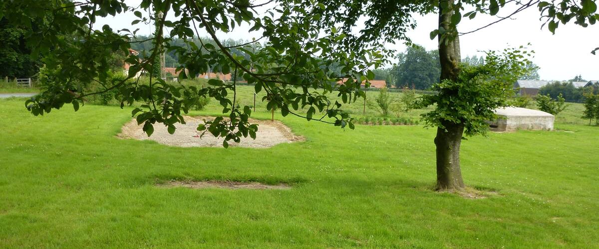A grassy field with a tree and a stone structure.