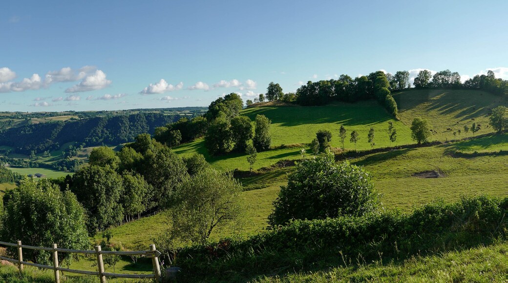 Ferrières-Saint-Mary
