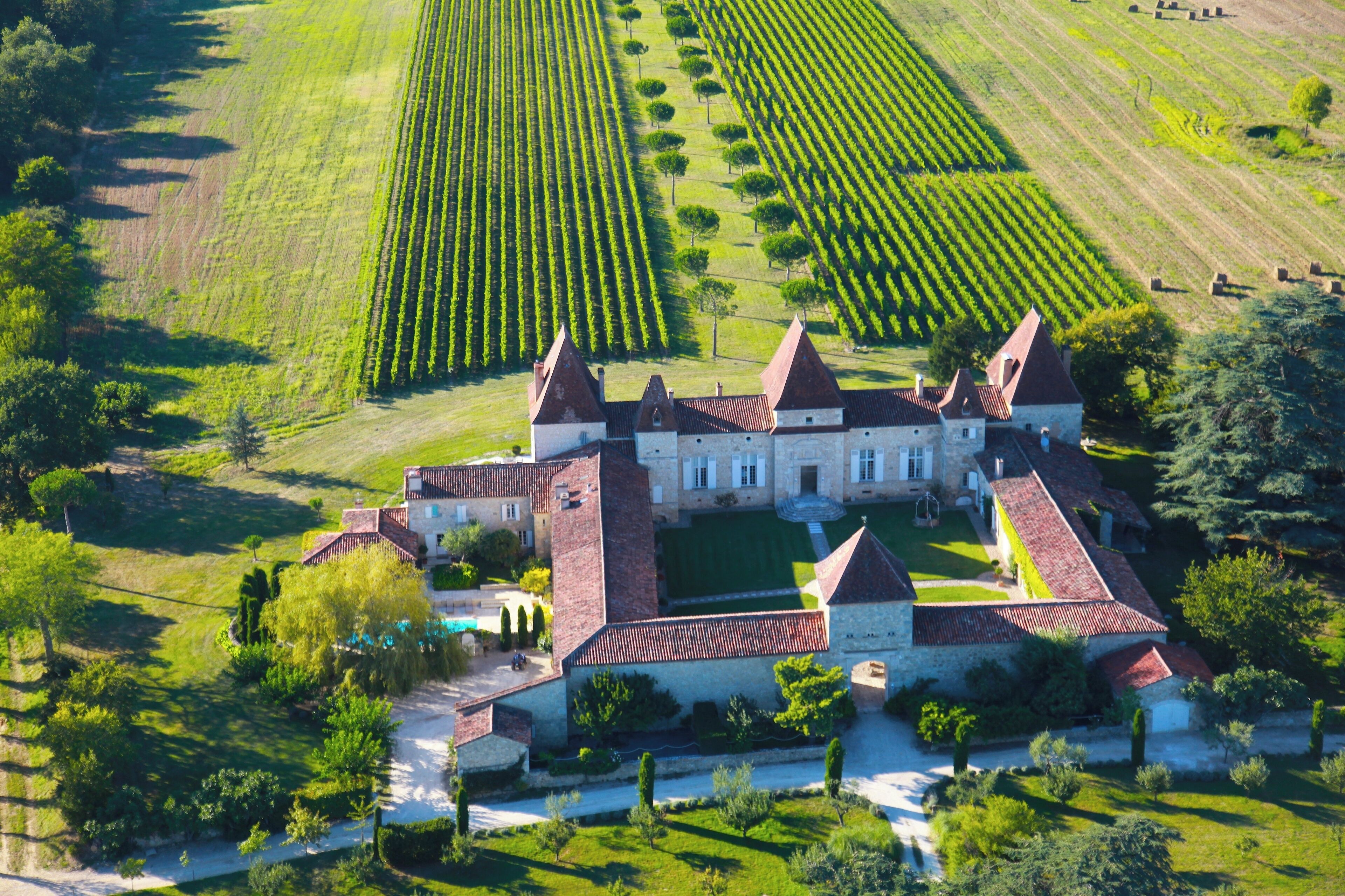 An aerial view of a castle surrounded by neatly arranged vineyards and lush greenery.