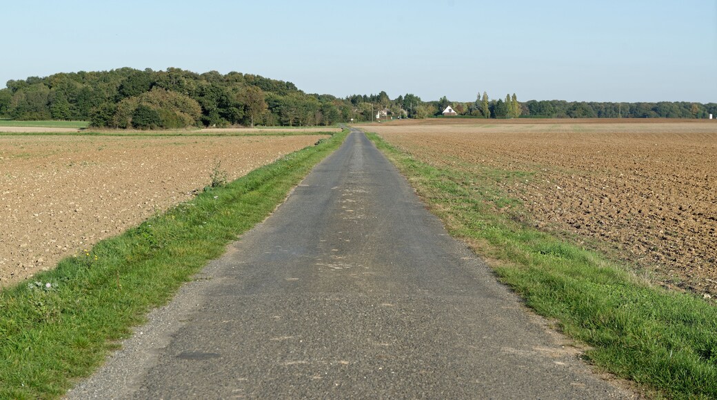Le chemin des Vignes blanches à Égreville, en Seine-et-Marne, dans la région Île-de-France.