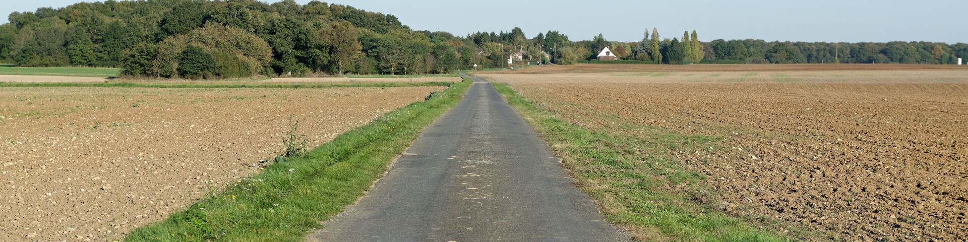 Le chemin des Vignes blanches à Égreville, en Seine-et-Marne, dans la région Île-de-France.