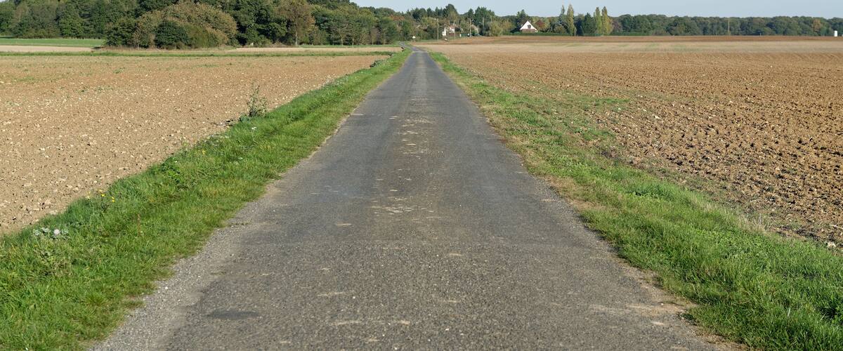 A rural road flanked by fields and a forest.