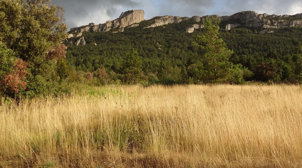 This building is indexed in the Base Mérimée, a database of architectural heritage maintained by the French Ministry of Culture, under the reference PA00102673 .