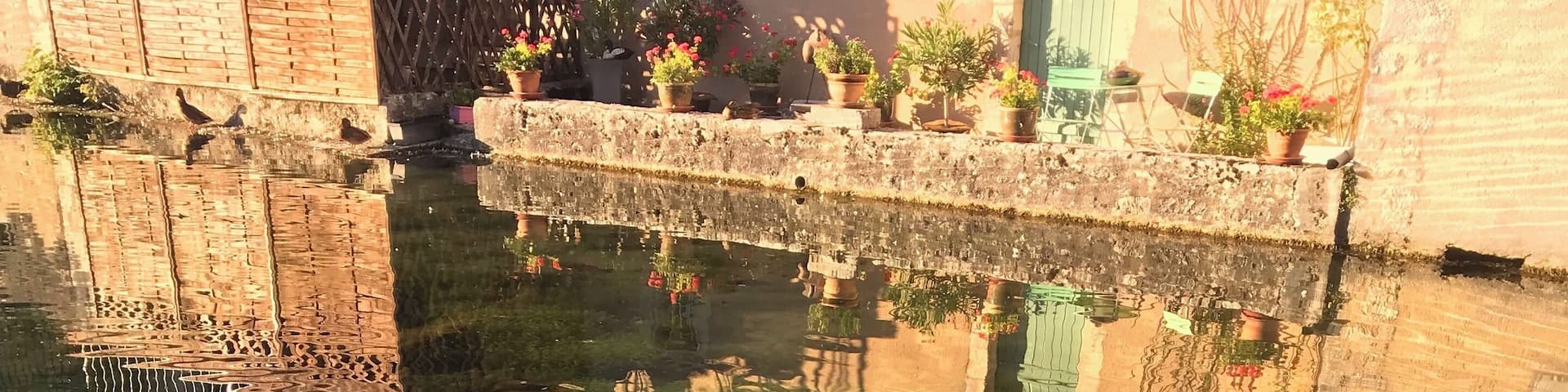 A beautiful, tranquil pond near the auberge