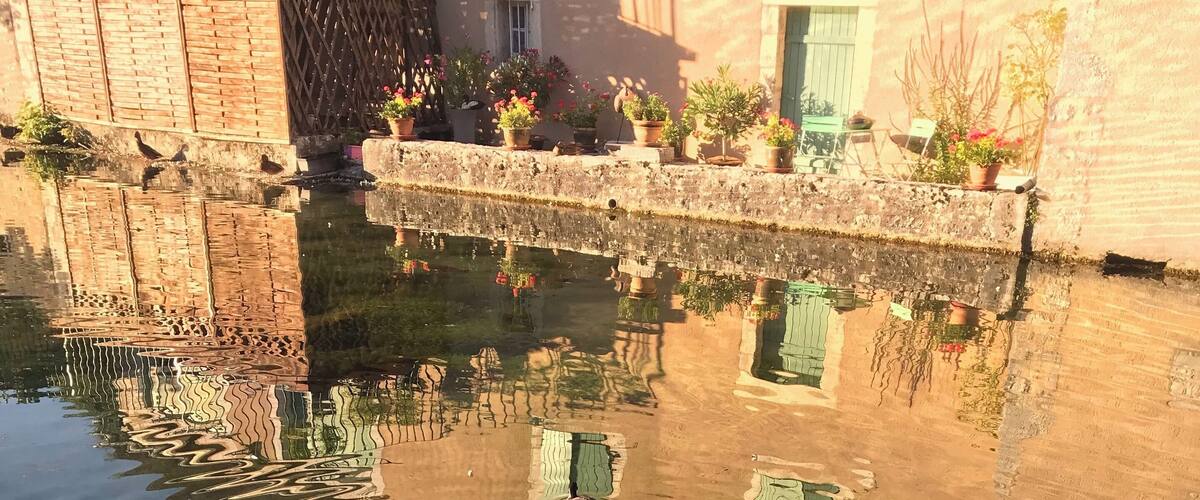 A calm water body with reflections of buildings and potted plants.