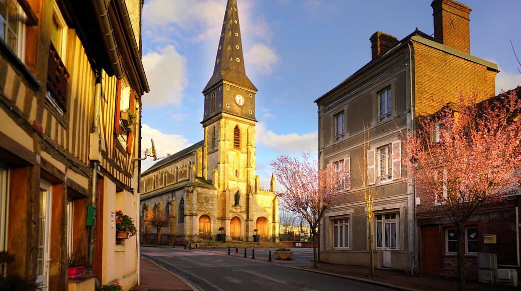 Paysage campagne 601