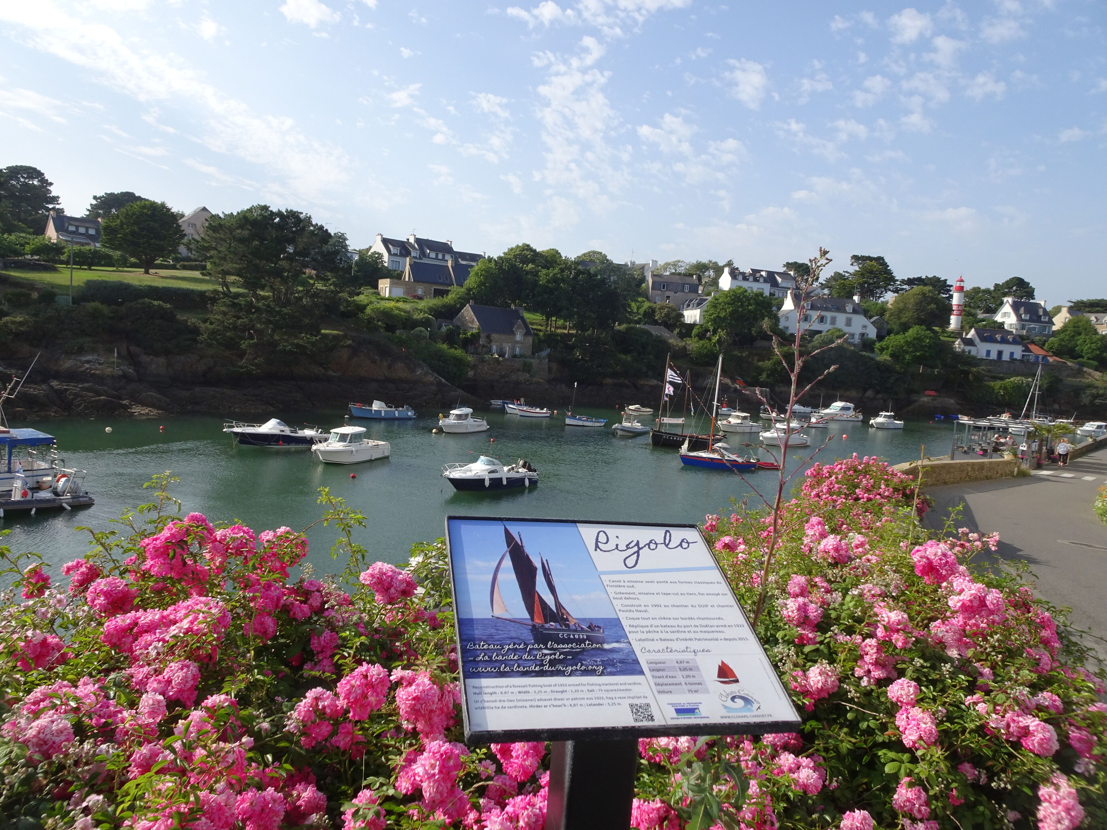 A harbor with boats, a signboard, and pink flowers.