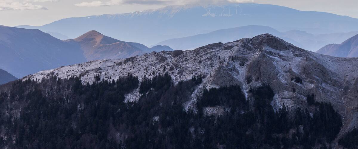 A snow-covered mountain range with dense forests at the base.