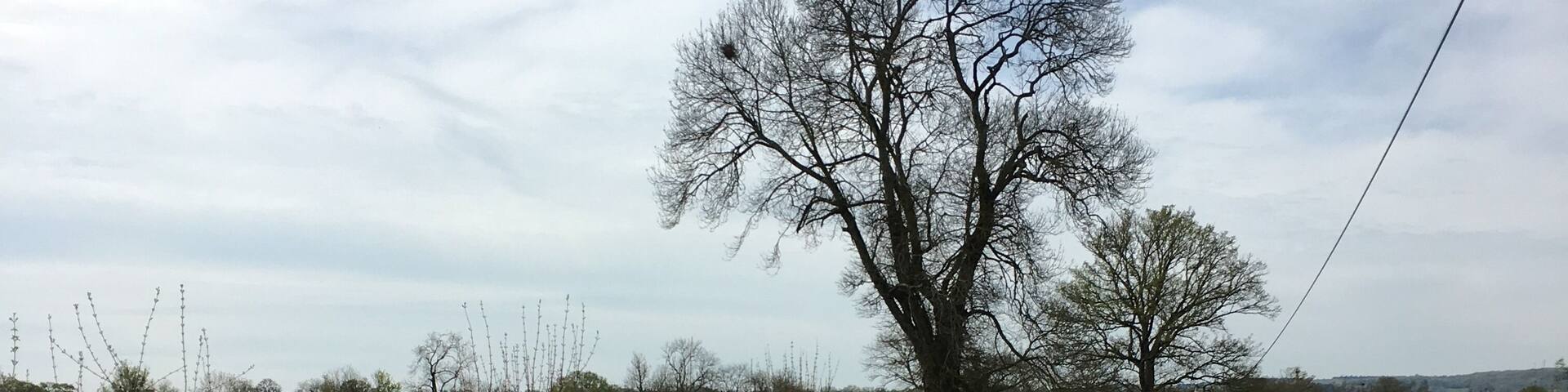 Country road and flowers, spring is back #easterweekend #lifeatexpedia