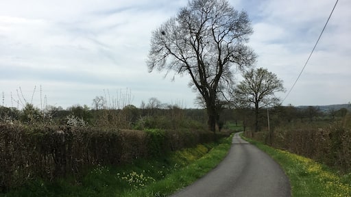 Country road and flowers, spring is back #easterweekend #lifeatexpedia