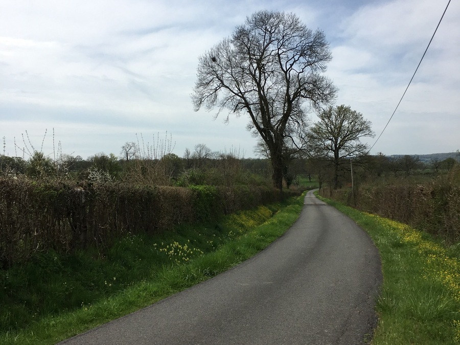 Country road and flowers, spring is back #easterweekend #lifeatexpedia