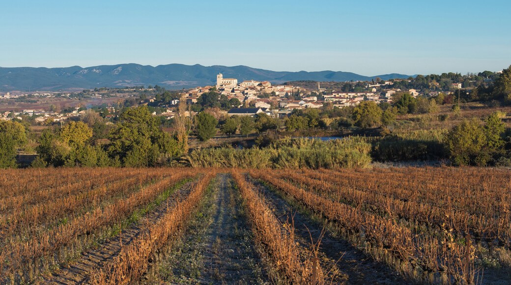 Corneilhan, Hérault, France.