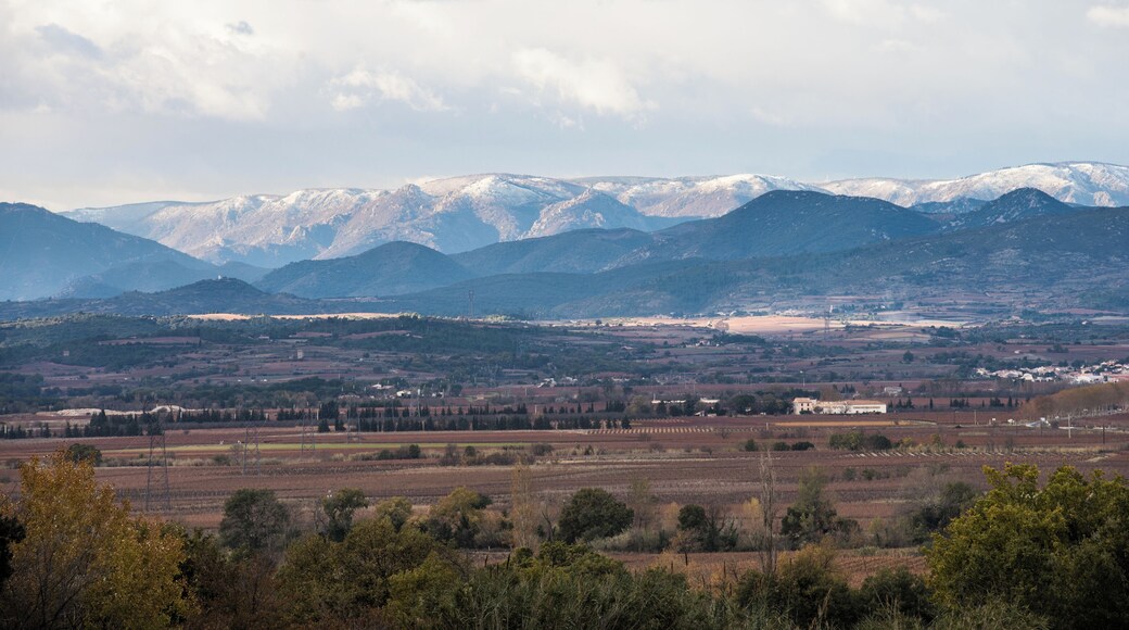 The "Montagne Noire" (Black Mountain) and a part of the commune of Thézan-lÚs-Béziers from the Southeast in the commune of Corneilhan, Hérault, France.