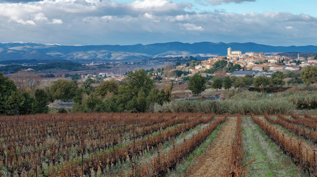 Corneilhan, Hérault, France.