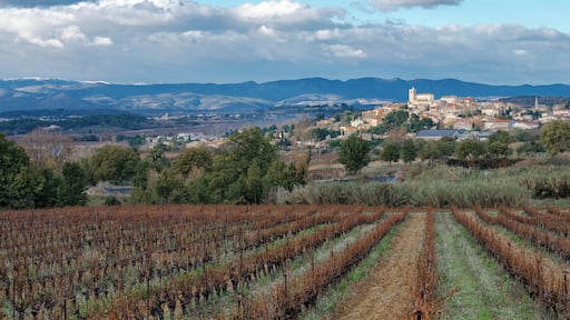 Corneilhan, Hérault, France.