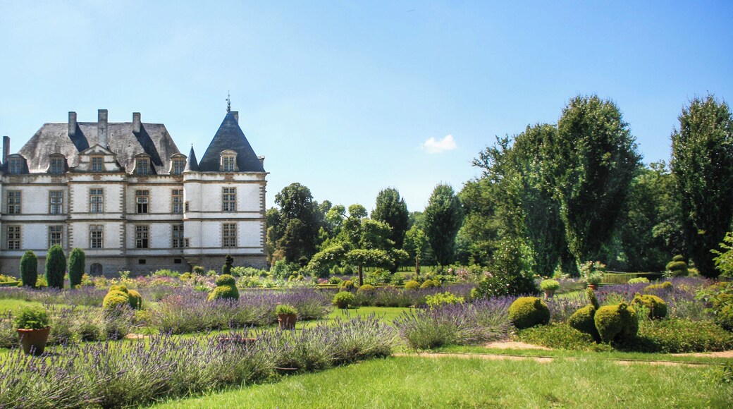 Château de Cormatin