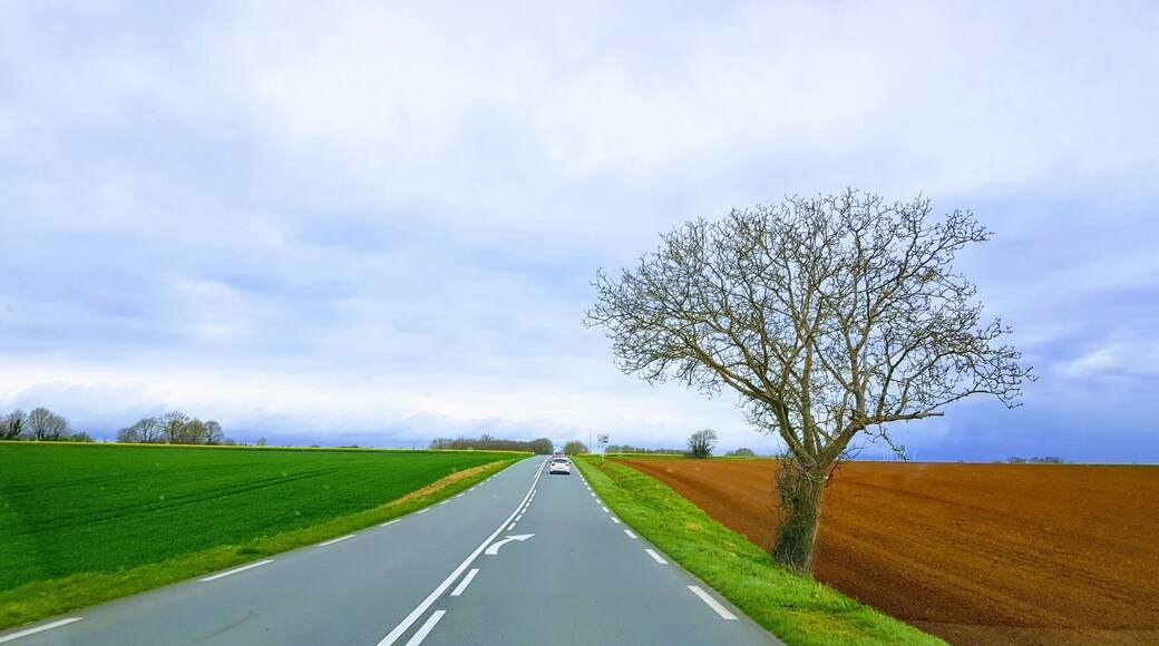 Beautiful area to see on the spring time