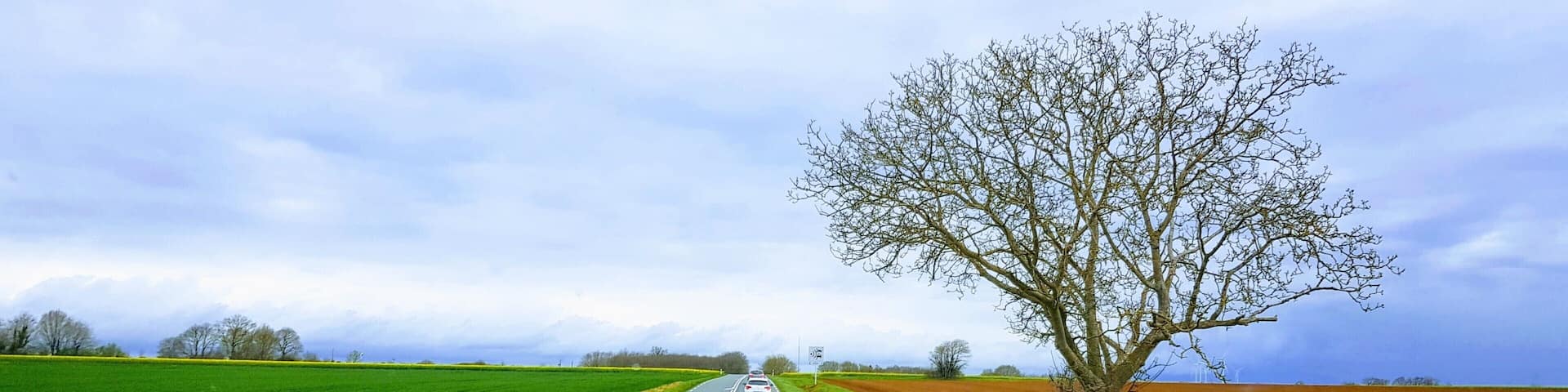 Beautiful area to see on the spring time