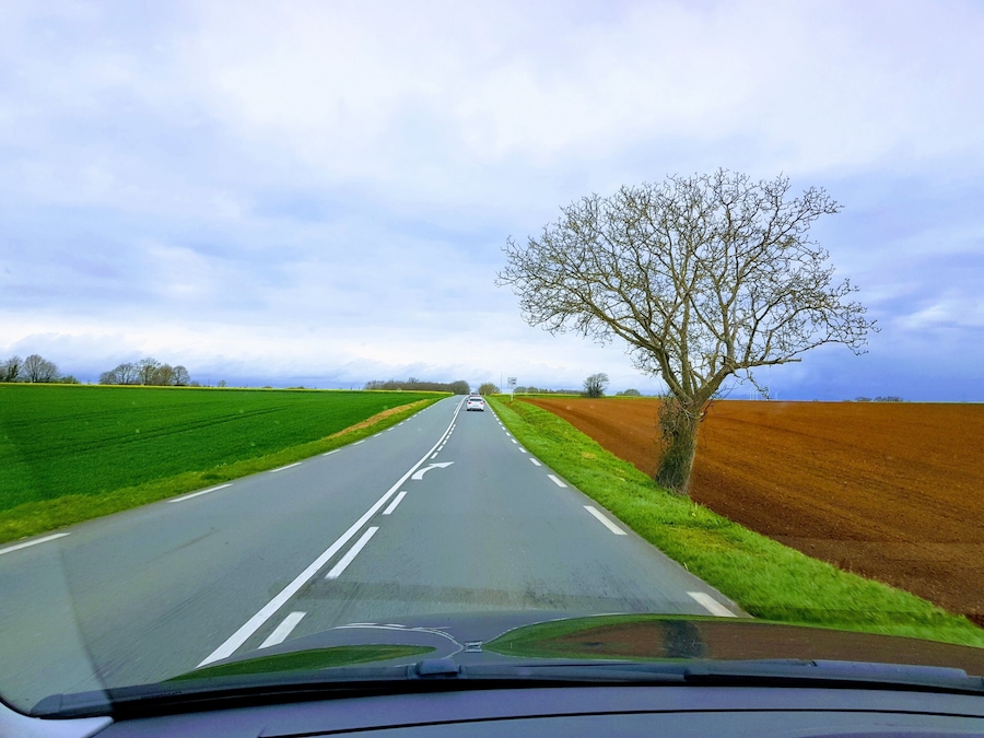Beautiful area to see on the spring time