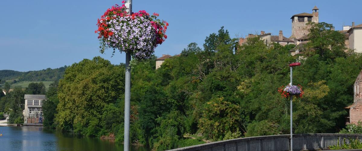 A river with a bridge, a tower, and lush greenery.