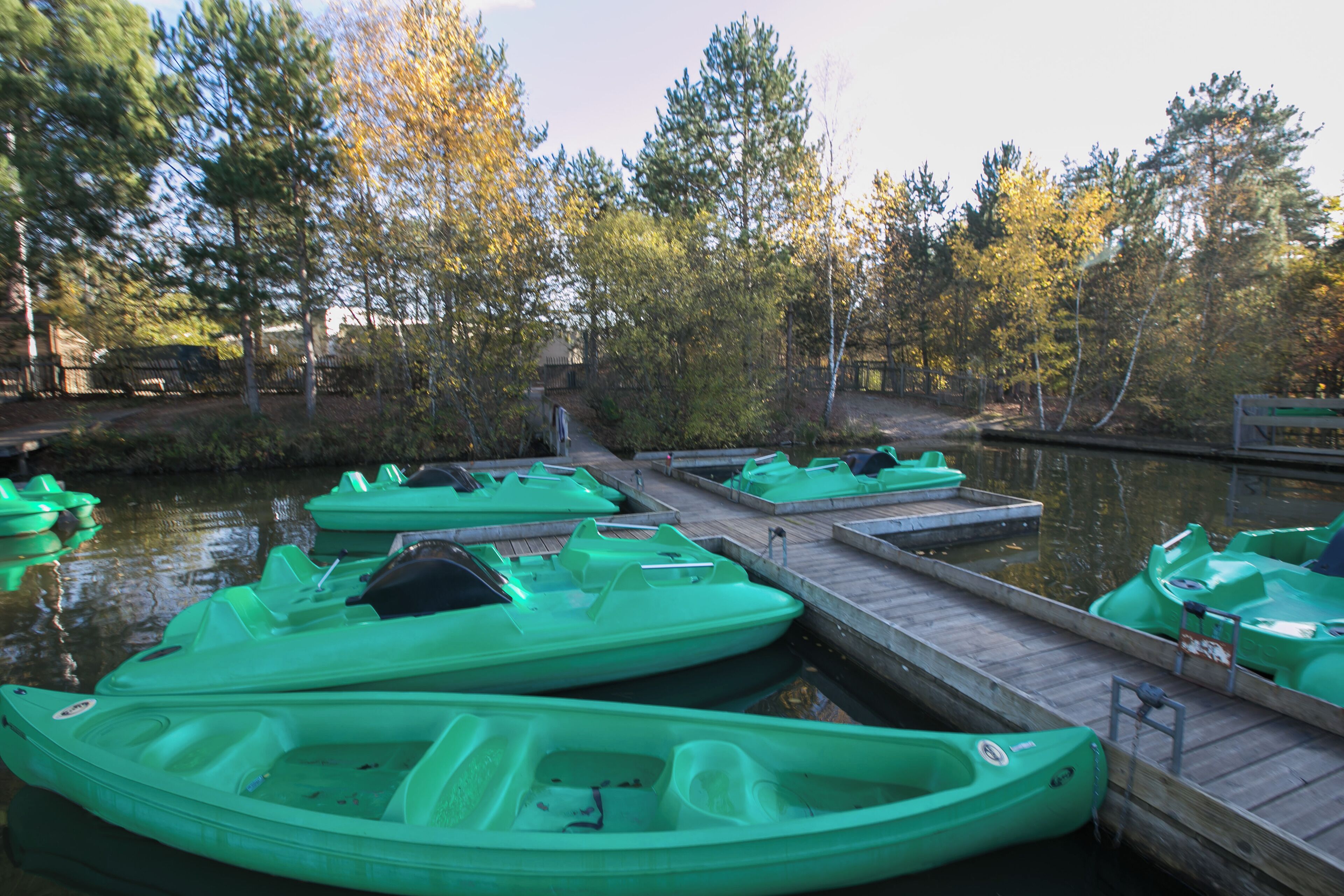 Plan d'eau du Center Parcs "Les Hauts des Bruyères" / Chaumont-sur-Tharonne - Loir-et-Cher - France