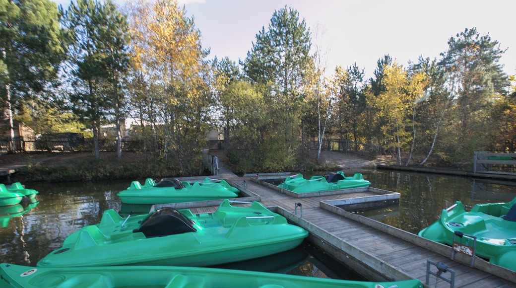 Plan d'eau du Center Parcs "Les Hauts des Bruyères" / Chaumont-sur-Tharonne - Loir-et-Cher - France