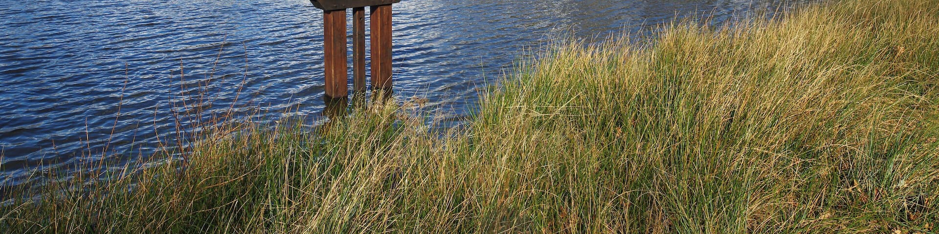 Un étang. Un étang est un plan d’eau artificiel. On barre une petite vallée avec une digue qu’on appelle la chaussée. Une bonde permet de vider l’étang. (Voir le beau travail de l’école de Bauzy sur le sujet : www.icem-pedagogie-freinet.org/sites/default/files/FTJ_22...) Depuis le Moyen-Age, les étangs sont construits en grand nombre en Sologne. À la Renaissance on les estime à 4000. Les étangs sont, à cette époque, d’un grand rapport, un hectare d’étang rapporte 10 fois plus qu’un hectare de terre agricole en Beauce. Avec 140 jours maigres par an, la demande en poissons est grande. Au 16ème siècle, les guerres de religion désorganisent la distribution du poisson et les étangs sont abandonnés. Les étangs se colmatent et deviennent des marécages. Les moustiques pullulent et les fièvres palustres se développent. La misère et les maladies font chuter l’espérance de vie vers 23 ans aux 17ème et 18ème siècles. A la révolution, le décret du 14 frimaire an II décidait l’assèchement des étangs.le décret avait pour objet de « rendre à la santé et à la vie des milliers de Français qui moissonnent, chaque année, avant le terme marqué par la nature des maladies produites par les funestes émanations des étangs ». (ahrf.revues.org/pdf/449) Le paludisme régressa en Sologne probablement grâce, en partie, à l’apparition de la quinine. Les solognots réexploiteront les étangs. (www.afes.fr/afes/egs/EGS_13_1_fanica.pdf) A pond is an artificial lake. A dam, so-called « la chaussée », is dam of a small valley. A drain makes emptying the pond. Since the Middle Ages, the ponds are built in large numbers in Sologne. During the Renaissance the estimated number of ponds in Sologne at 4000. The ponds are at this period a great resource, one hectare pond earn 10 times more than a hectare of agricultural land in the Beauce. With 140 days of fasting a year, there is a high demand for fish. Religious wars disrupt the distribution of fish, and ponds are abandoned. Ponds clog and become swamps. Mosquitoes proliferate and malarial fevers develop. Poverty and disease are falling life expectancy to 23 years in the 17th and 18th centuries. During the Revolution, the decree of 14 Frimaire II decided drying ponds. The decree was to "make the health and lives of thousands of French people who die each year before the date because of diseases caused by the deadly vapors ponds." Malaria regressed in Sologne probably due in part to the emergence of quinine. The solognots re-exploit ponds.