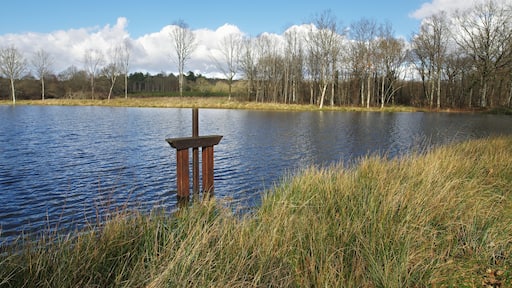 Un étang. Un étang est un plan d’eau artificiel. On barre une petite vallée avec une digue qu’on appelle la chaussée. Une bonde permet de vider l’étang. (Voir le beau travail de l’école de Bauzy sur le sujet : www.icem-pedagogie-freinet.org/sites/default/files/FTJ_22...) Depuis le Moyen-Age, les étangs sont construits en grand nombre en Sologne. À la Renaissance on les estime à 4000. Les étangs sont, à cette époque, d’un grand rapport, un hectare d’étang rapporte 10 fois plus qu’un hectare de terre agricole en Beauce. Avec 140 jours maigres par an, la demande en poissons est grande. Au 16ème siècle, les guerres de religion désorganisent la distribution du poisson et les étangs sont abandonnés. Les étangs se colmatent et deviennent des marécages. Les moustiques pullulent et les fièvres palustres se développent. La misère et les maladies font chuter l’espérance de vie vers 23 ans aux 17ème et 18ème siècles. A la révolution, le décret du 14 frimaire an II décidait l’assèchement des étangs.le décret avait pour objet de « rendre à la santé et à la vie des milliers de Français qui moissonnent, chaque année, avant le terme marqué par la nature des maladies produites par les funestes émanations des étangs ». (ahrf.revues.org/pdf/449) Le paludisme régressa en Sologne probablement grâce, en partie, à l’apparition de la quinine. Les solognots réexploiteront les étangs. (www.afes.fr/afes/egs/EGS_13_1_fanica.pdf) A pond is an artificial lake. A dam, so-called « la chaussée », is dam of a small valley. A drain makes emptying the pond. Since the Middle Ages, the ponds are built in large numbers in Sologne. During the Renaissance the estimated number of ponds in Sologne at 4000. The ponds are at this period a great resource, one hectare pond earn 10 times more than a hectare of agricultural land in the Beauce. With 140 days of fasting a year, there is a high demand for fish. Religious wars disrupt the distribution of fish, and ponds are abandoned. Ponds clog and become swamps. Mosquitoes proliferate and malarial fevers develop. Poverty and disease are falling life expectancy to 23 years in the 17th and 18th centuries. During the Revolution, the decree of 14 Frimaire II decided drying ponds. The decree was to "make the health and lives of thousands of French people who die each year before the date because of diseases caused by the deadly vapors ponds." Malaria regressed in Sologne probably due in part to the emergence of quinine. The solognots re-exploit ponds.