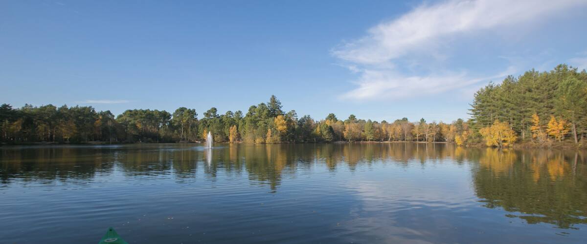Plan d'eau du Center Parcs "Les Hauts des Bruyรจres" / Chaumont-sur-Tharonne - Loir-et-Cher - France