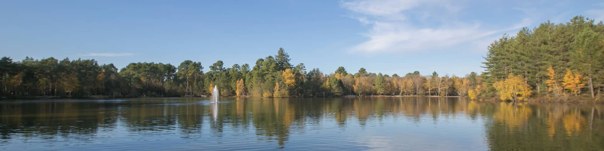 Plan d'eau du Center Parcs "Les Hauts des BruyĂšres" / Chaumont-sur-Tharonne - Loir-et-Cher - France