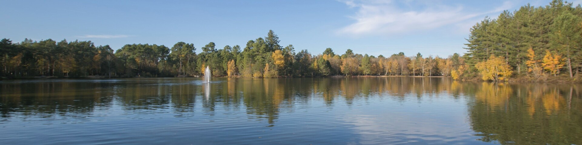 Plan d'eau du Center Parcs "Les Hauts des Bruyères" / Chaumont-sur-Tharonne - Loir-et-Cher - France