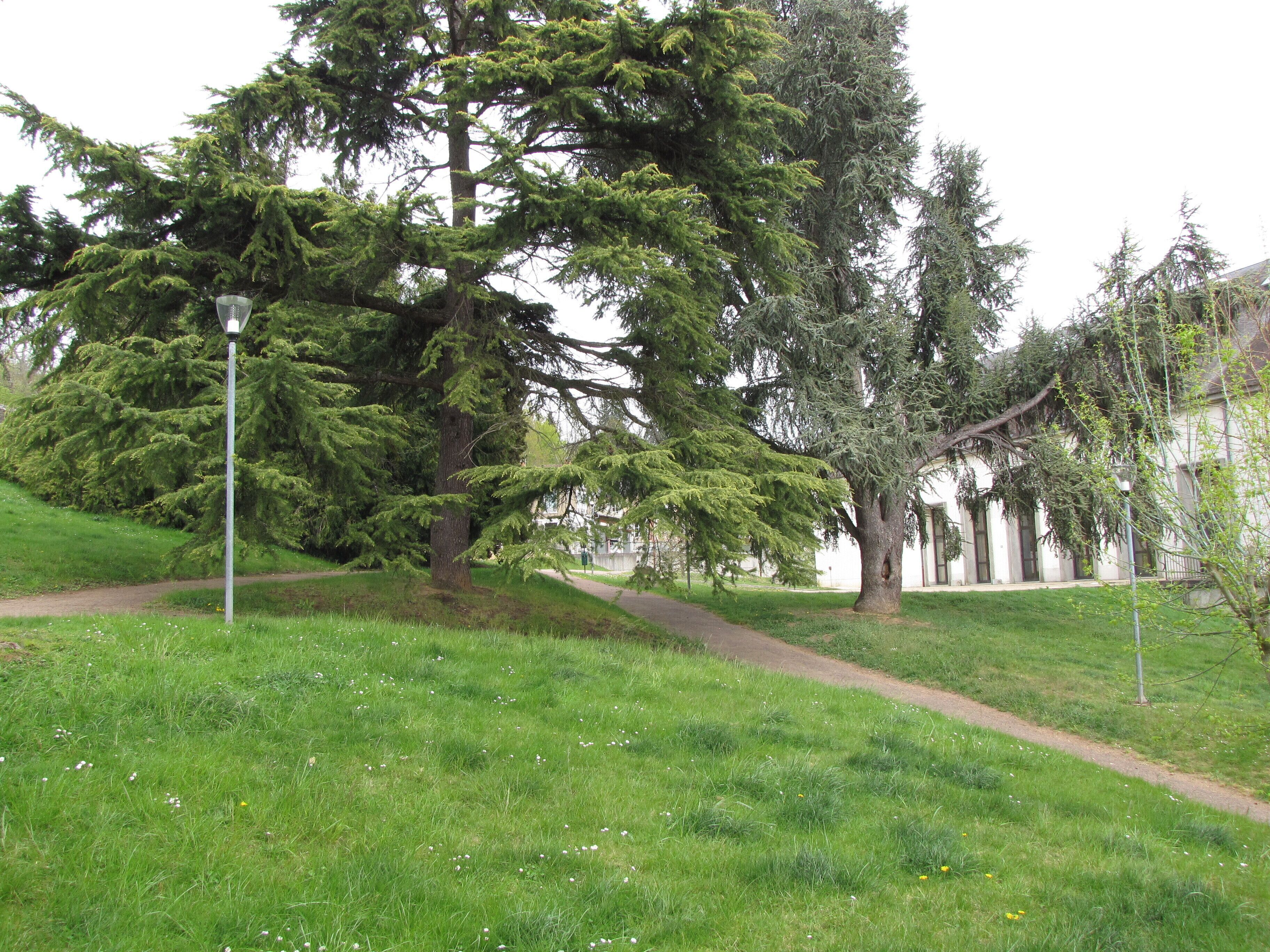 This garden is located behind the mairie (hôtel de ville, or town hall). It has two entrances : one to the north side towards the Avenue du Chemin Blanc, the other to the south behind the Place de l'Hôtel de Ville. This view is taken from the south of the garden, looking up towards the north and the back of the mairie (Hôtel de Ville). On the garden's north and west sides there are remains of the old town's fortifications, with a tower at the north-west corner (visible from the Avenue du Chemin Blanc). The war monument for the 1914-18 war, with a nice statue of a winged République allegory, is at the south entrance of the Metelen garden.