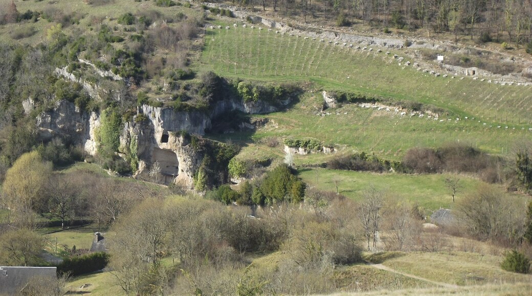 Vue du vignoble au dessus du village de Chasteaux