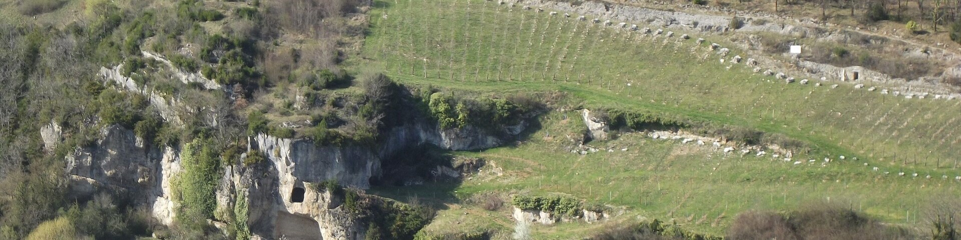 Vue du vignoble au dessus du village de Chasteaux