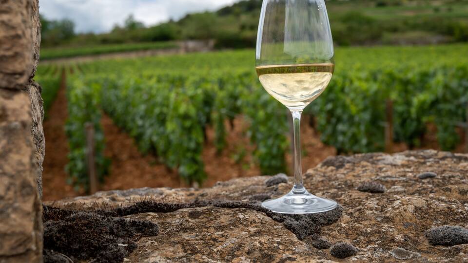 A wine glass on a stone surface with a vineyard in the background.