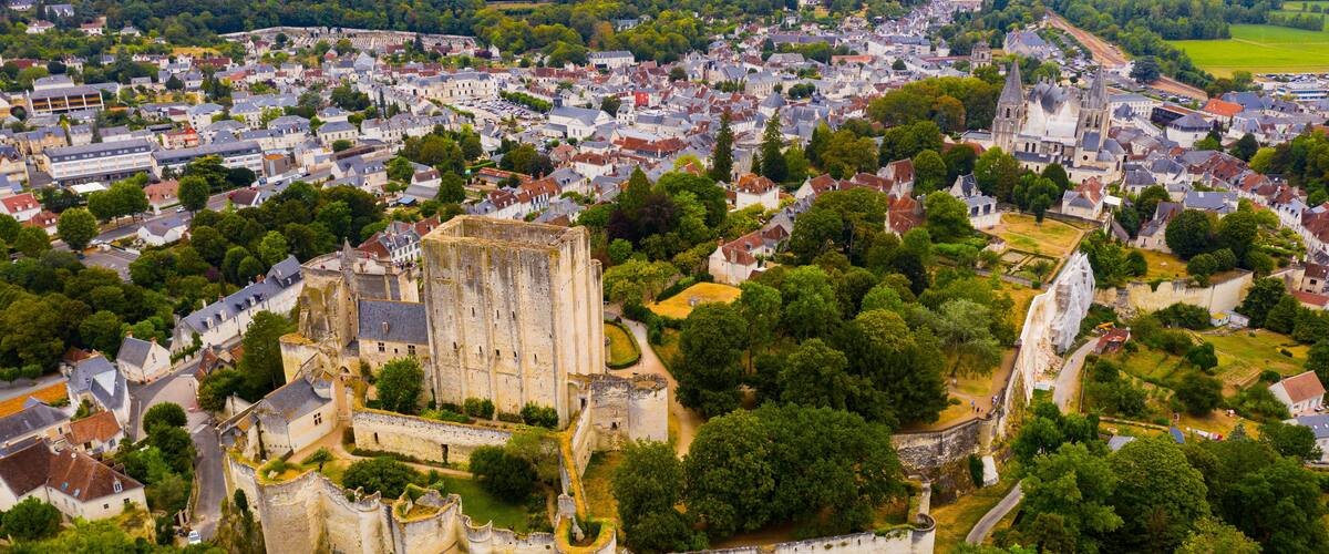 An aerial view of a historic town with a prominent castle surrounded by lush greenery and dense residential areas.