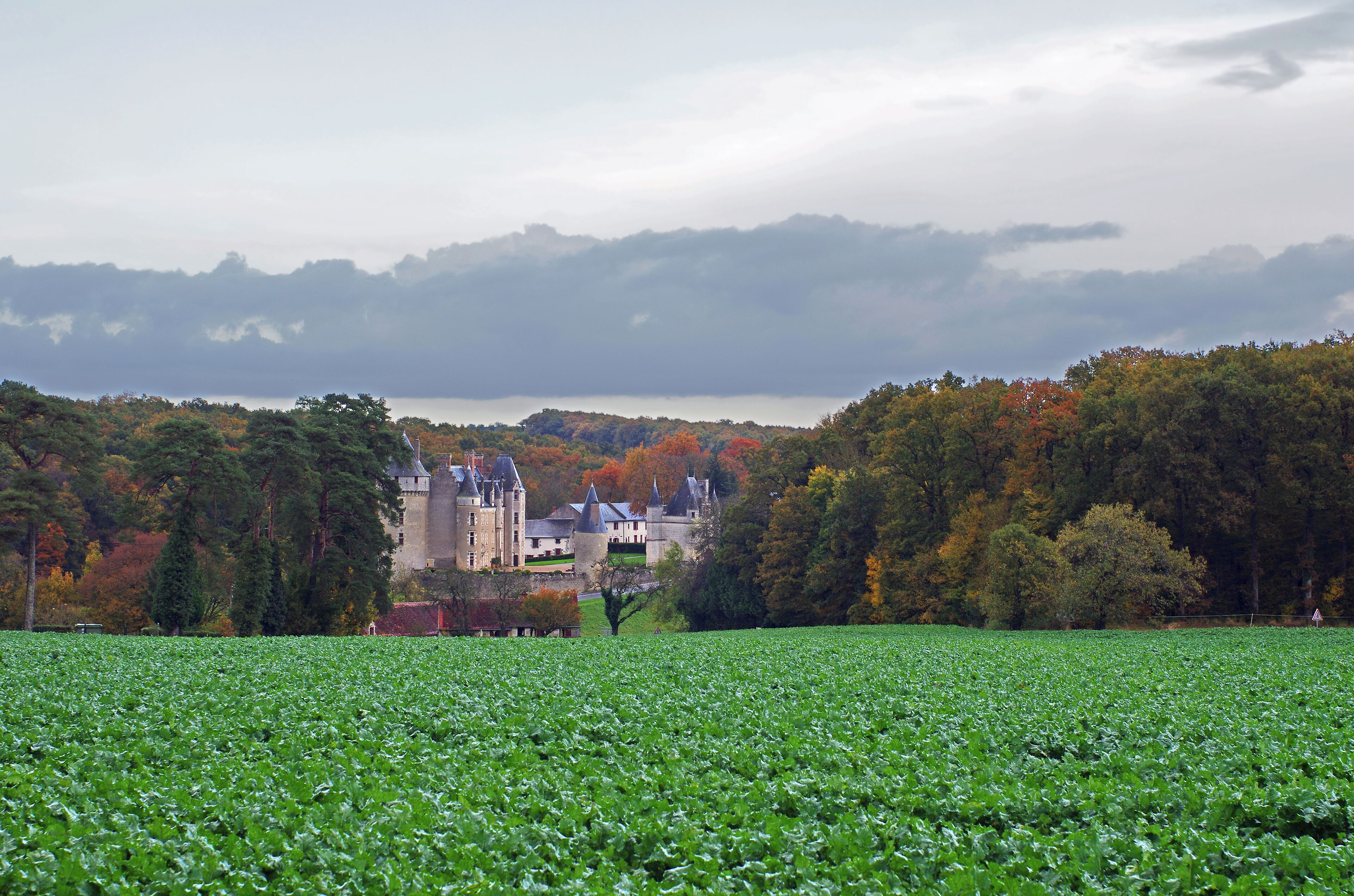 Château de Montpoupon (Indre et Loire). A l'époque carolingienne, le clan germanique des Poppo, choisit de s'établir sur le piton rocheux du " Mons Poppo " (la colline du clan poppo). Au Moyen-âge, Loches était alors aux mains de Foulques Nerra et Montrichard appartenait à son ennemi Eudes comte de Blois. A mi-chemin entre ces deux villes, Montpoupon était un endroit stratégique. Il fut le théâtre de sanglants combats. Au XIVème siècle, Montpoupon passe aux mains des seigneurs de Prie et de Buzançais. Antoine de Prie et sa femme, Madeleine d'Amboise, reconstruirent le château en 1460. Ils le transformèrent en une demeure de style Renaissance En 1857 Jean-Baptiste de la Motte Saint Pierre, arrière grand père de l'actuelle propriétaire, acheta le château. La famille fit des travaux extérieurs (fin XIXème) et intérieur (1920) afin de redonner à Montpoupon l'aspect Renaissance qu'il présente aujourd'hui. In the Carolingian period, the clan of the Poppo Germanic, decided to settle on therocky peak of the "Mons Poppo" (Hill clan poppo). In the Middle Ages, Loches was then in the hands of Fulk Nerra Montrichard andbelonged to his enemy Eudes Count of Blois. Halfway between these two cities,Montpoupon was a strategic location. It was the scene of bloody fighting. The fourteenth century, Montpoupon passed to the lords of Requests andBuzançais. Antoine de Prie and his wife, Madeleine d'Amboise, the castle rebuilt it in 1460.They turned it into a Renaissance-style mansion In 1857 John Baptist de la Motte St. Pierre, great grandfather of the current owner,bought the castle. The family was outside work (end of XIX) and interior (1920) to give back to Renaissance Montpoupon appearance it has today.