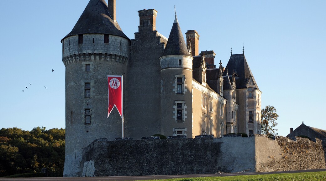 Céré-la-Ronde (Indre-et-Loire) Le château de Montpoupon. Le logis. Le château actuel a été construit au XVe siècle par Antoine de Prie* sur les ruines du précédent édifice féodal. La petite tourelle d'angle à gauche du château date de la moitié du XIXe siècle. La tour carrée sur la droite du château est du début du XXe siècle. Antoine de Prie, seigneur de Montpoupon et baron de Buzançais, fit le siège d'Orléans aux côtés de Jeanne d'Arc. Il sera Conseiller de Charles VII puis responsable des cuisines (Grand Queux de France). Il était fils puîné de Jean VIII de Prie qui l'avait forcé à se faire religieux dans l'abbaye de Déols. Après la mort sans enfants de son frère aîné, il obtint la dispense de ses voeux et devint sire de Prie, seigneur de Montpoupon et Moulins, baron de Buzançais. Il prend le titre de premier baron de Touraine. Il épousa Madeleine d'Amboise dont il eut Louis de Prie, René de Prie, évêque de Bayeux, fait cardinal en 1506, et Aymar de Prie. Il ordonna par testament que douze pucelles vêtues de robes blanches de fin lin, portent, chacune, à son enterrement, un flambeau de cire blanche d'un poids de deux livres.