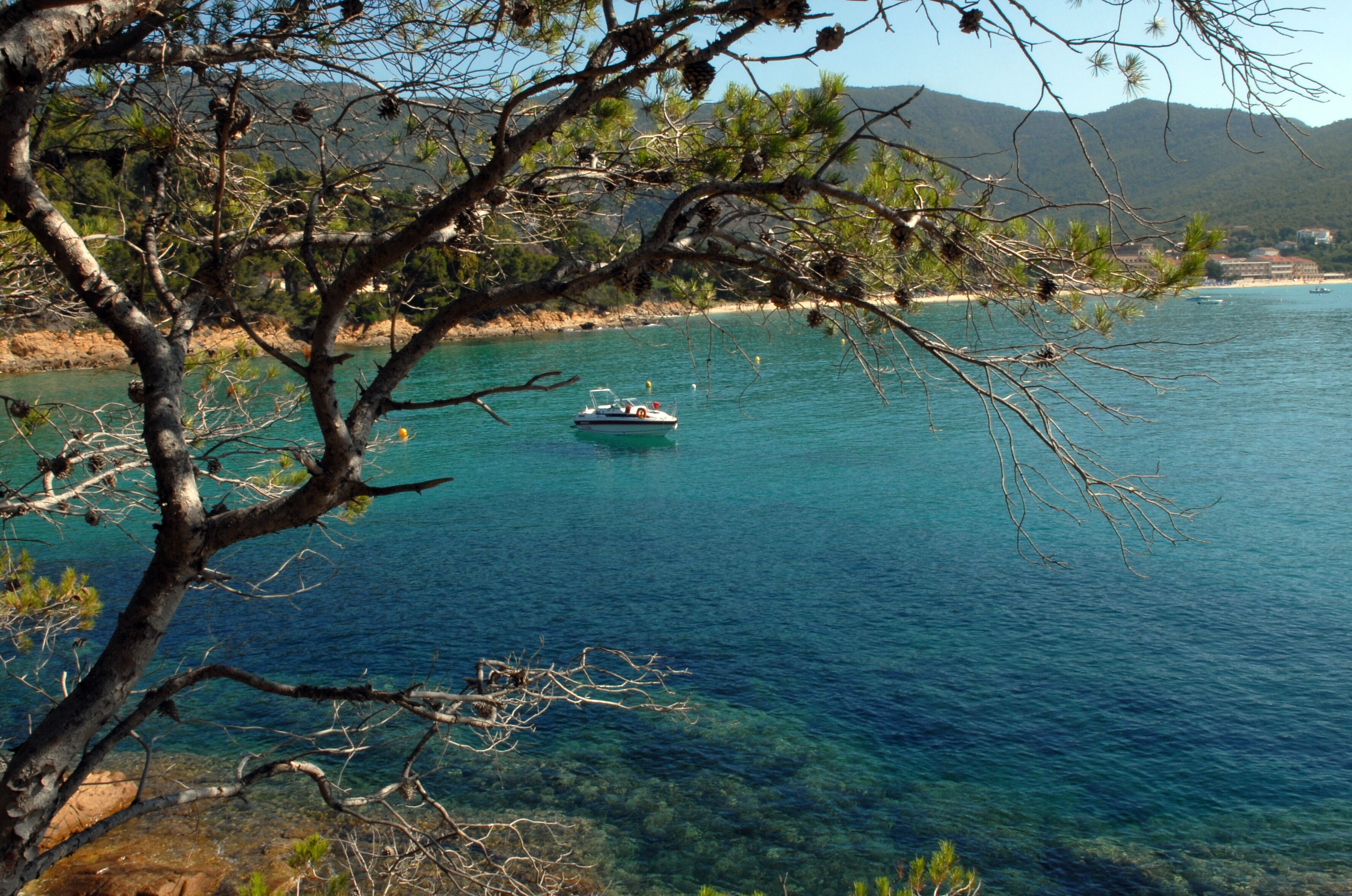 Buch von Le Layet bei Cavaliere