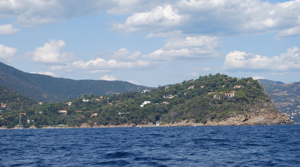 Le Cap Nègre. De la mer. Vue Est.