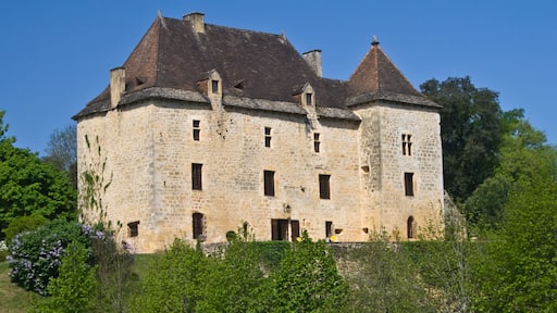 Carlux (Dordogne) - Château