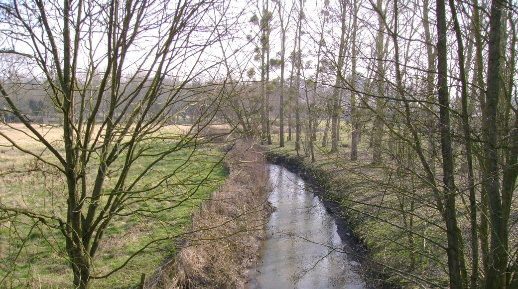 La vallée de l'Erdre, Candé, 49, France