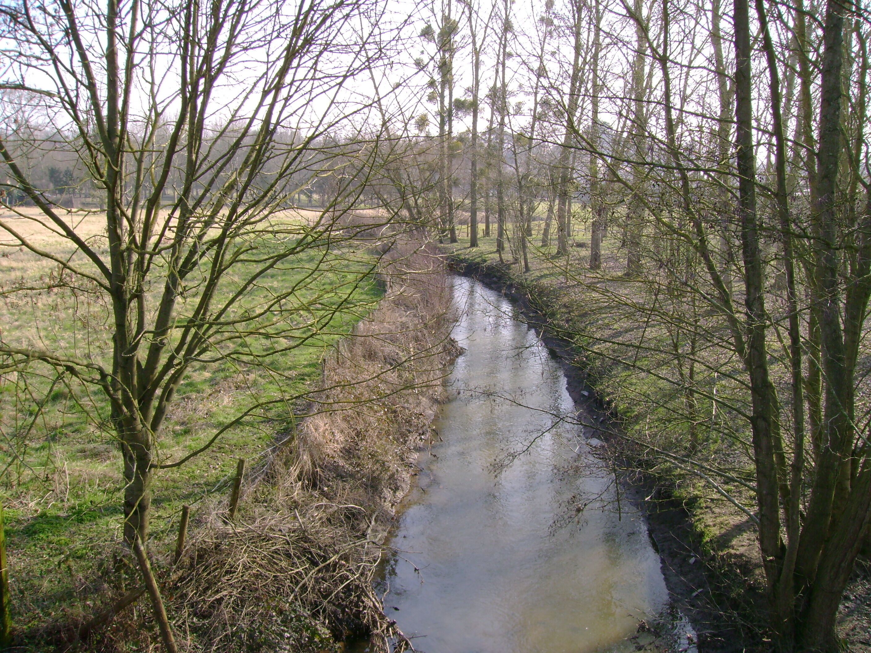 A narrow, muddy stream surrounded by leafless trees and grassy fields.