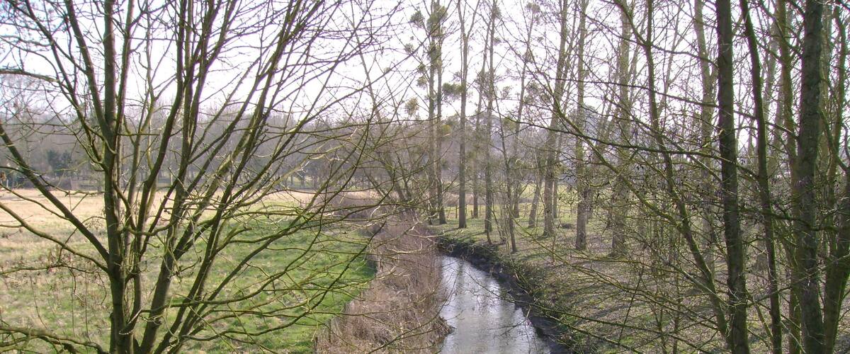 A narrow, muddy stream surrounded by leafless trees and grassy fields.