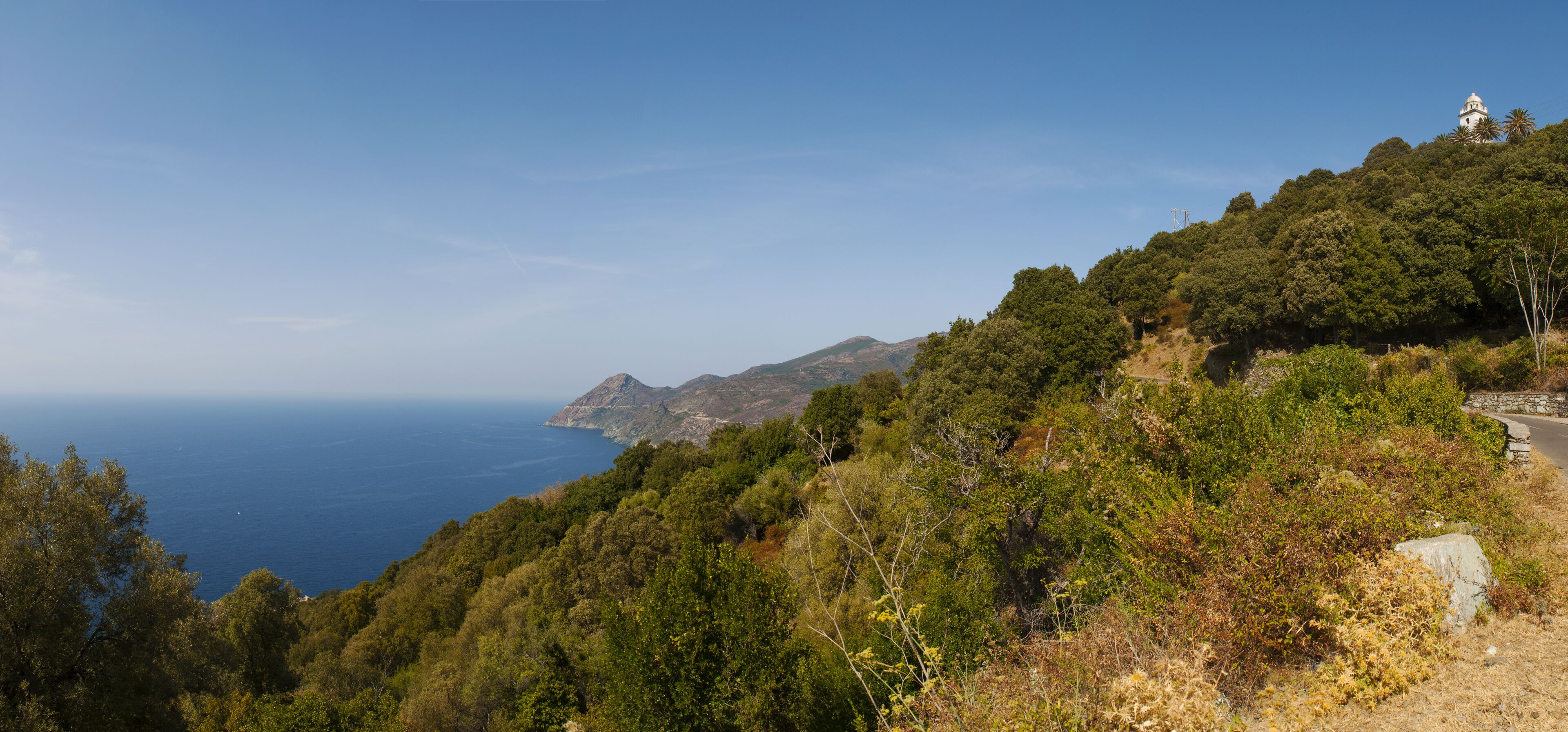 A coastal landscape with dense green vegetation, a lighthouse on a hill, and the ocean in the background.