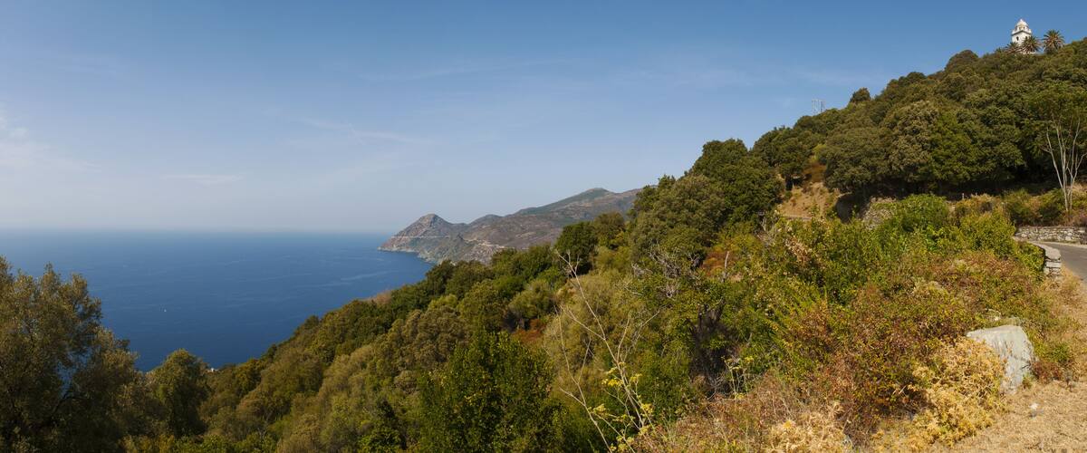 A coastal landscape with dense green vegetation, a lighthouse on a hill, and the ocean in the background.