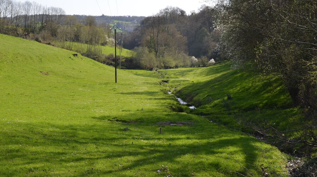Vue sur le ruisseau des Vages, sur la commune de Malloué.